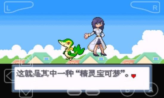 口袋妖怪白金汉化版下载,口袋妖怪游戏,口袋妖怪白金